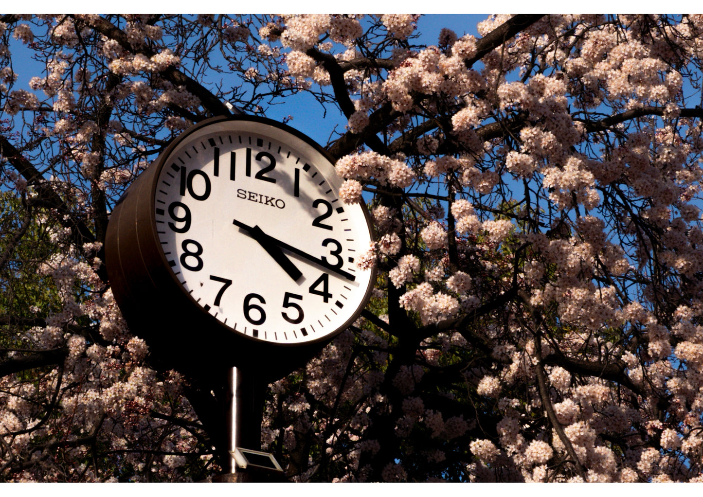 “A MOMENT’S NOTICE” - Canvas Edition