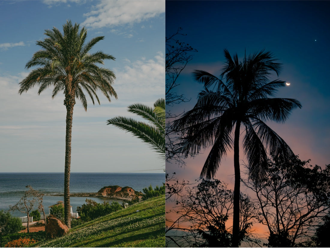 “Of the Essence” — The Story Behind the Collection