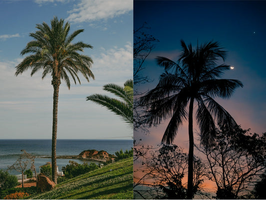 “Of the Essence” — The Story Behind the Collection